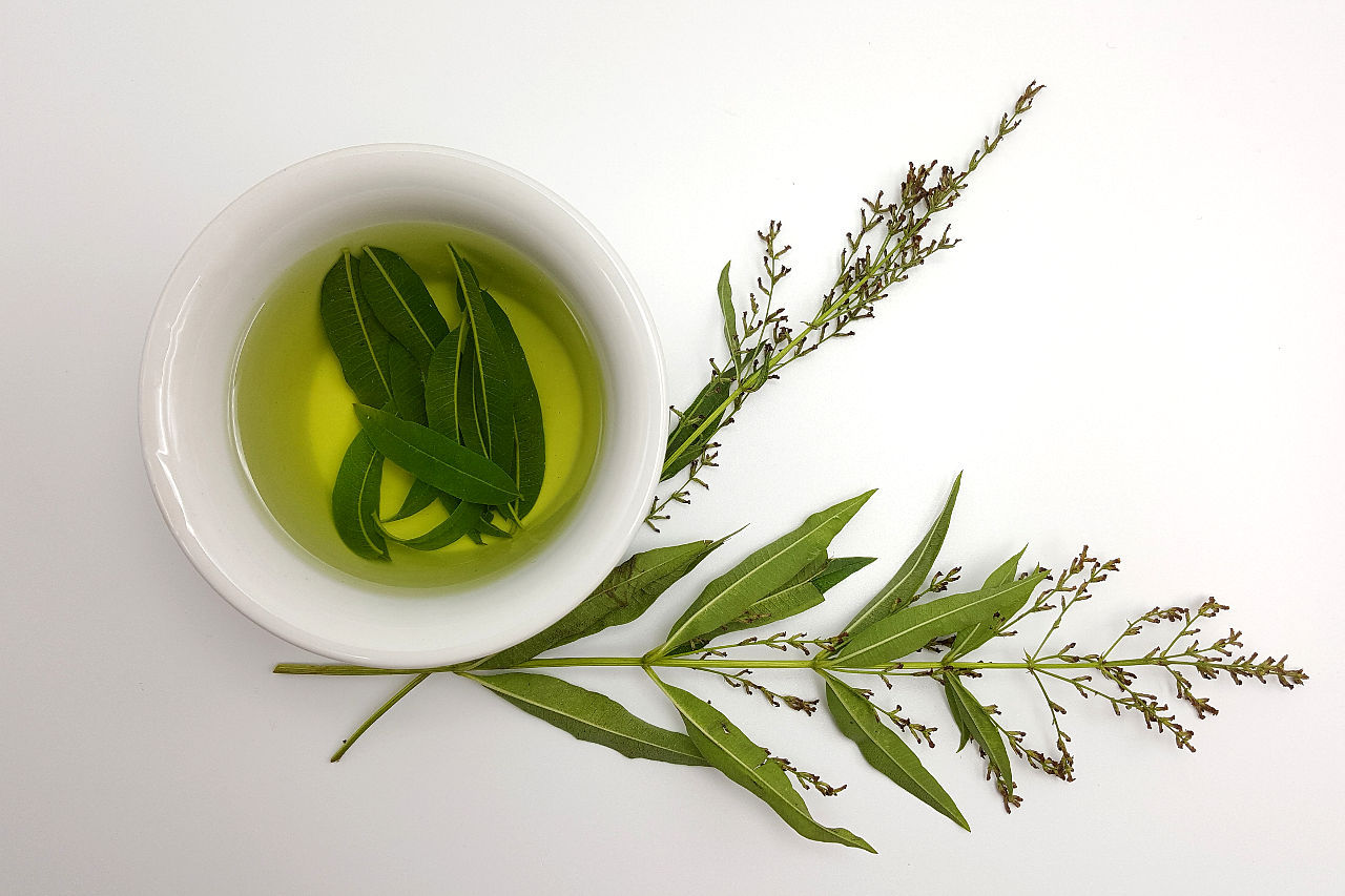 Lemon Verbena Tea Health Benefits, Recipe, Side Effects