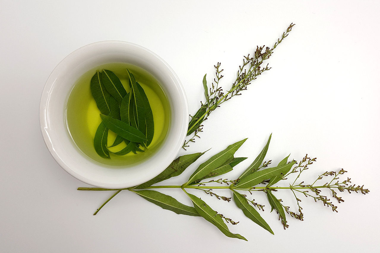 Bottle of lemon verbena essential oil (Aloysia triphylla Stock